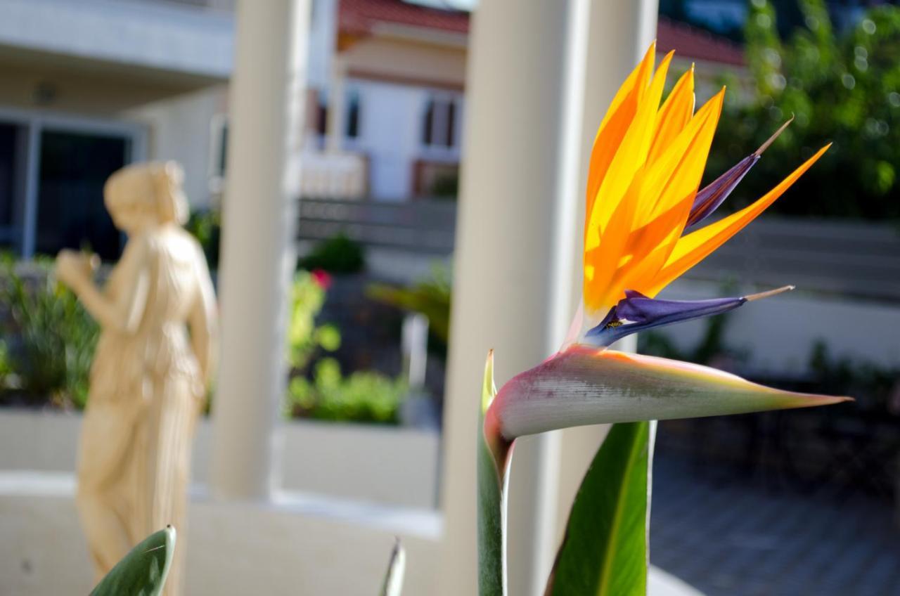 Hotel Estia Finikounta Ngoại thất bức ảnh